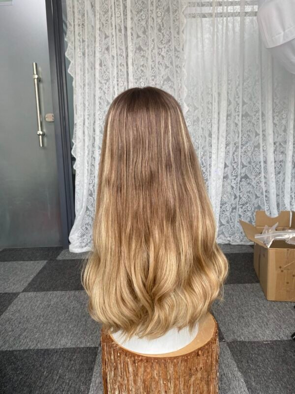 Lace top wig 25" #4/B10/24 Slight layer Wavy L 905$