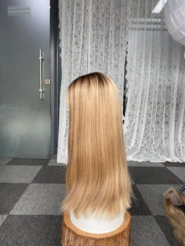 Lace top wig 25" #Charlene Slight layer Straight L 890$