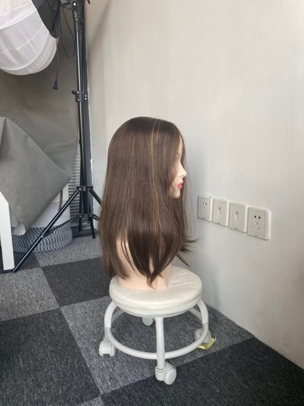 Lace top wig 19" #2/6/8 Slight layer Straight M 640$
