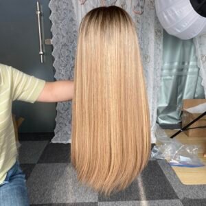 lace top wig 25" slight layer #6/12/24 straight M $890